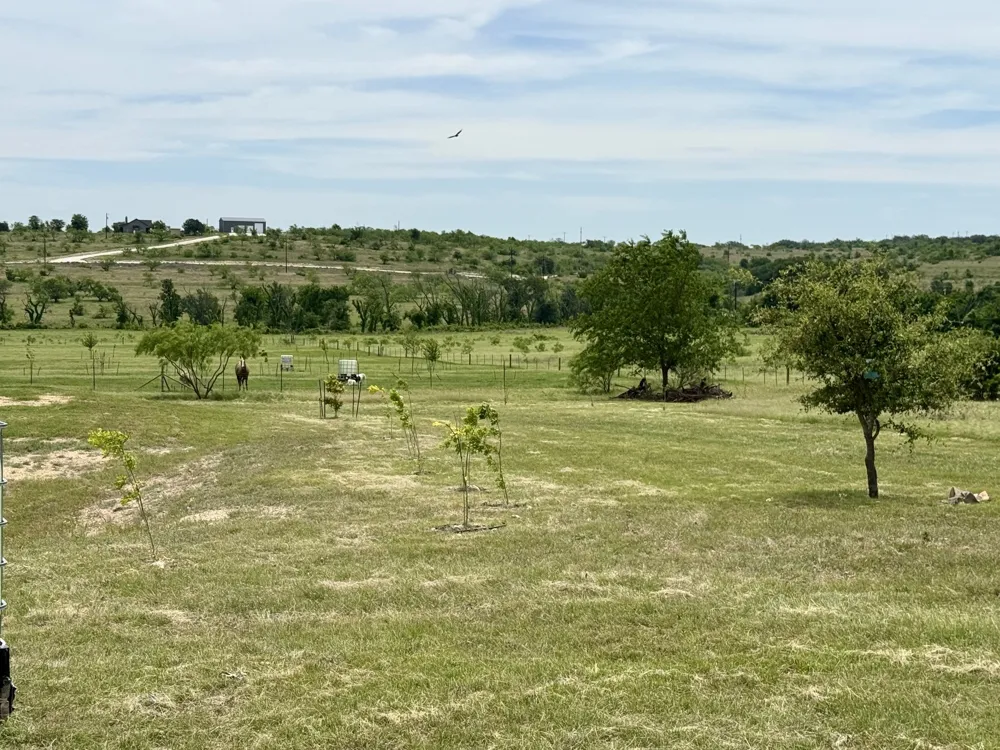 1313 County Road 266 Gustine, TX 76455