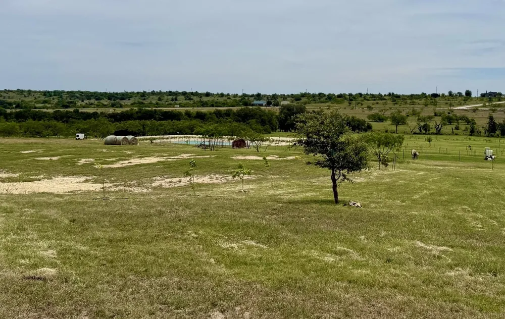 1313 County Road 266 Gustine, TX 76455