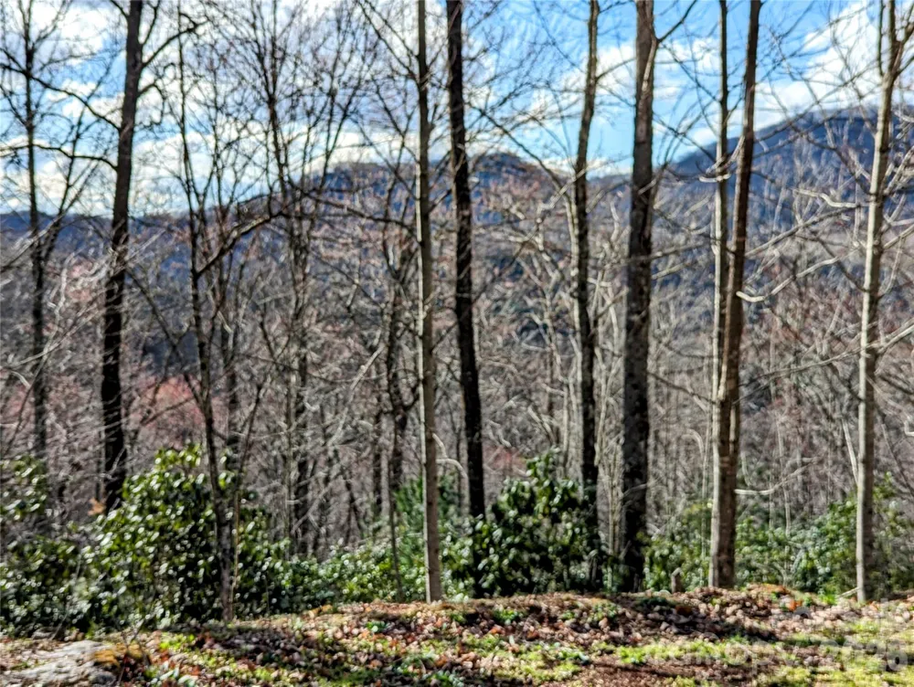 0 Dodgen Ridge Road Tuckasegee, NC 28783