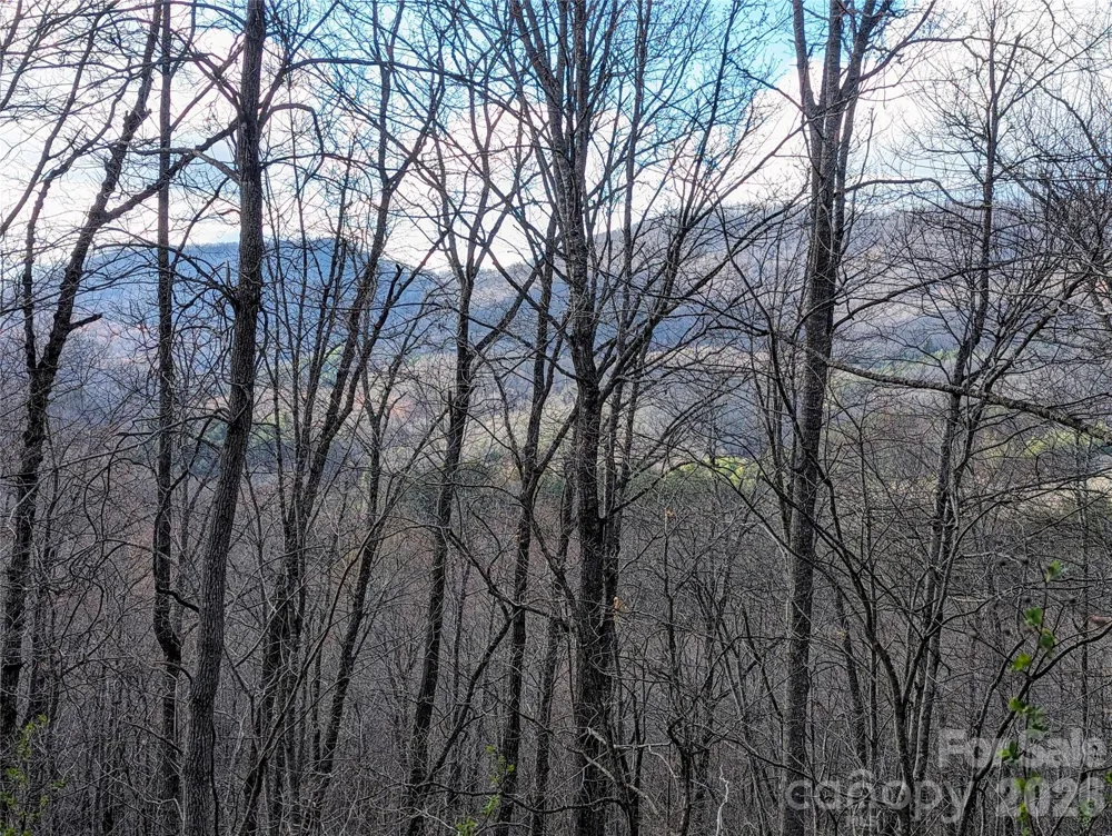 0 Dodgen Ridge Road Tuckasegee, NC 28783