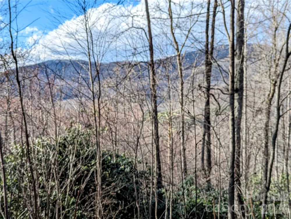 0 Dodgen Ridge Road Tuckasegee, NC 28783