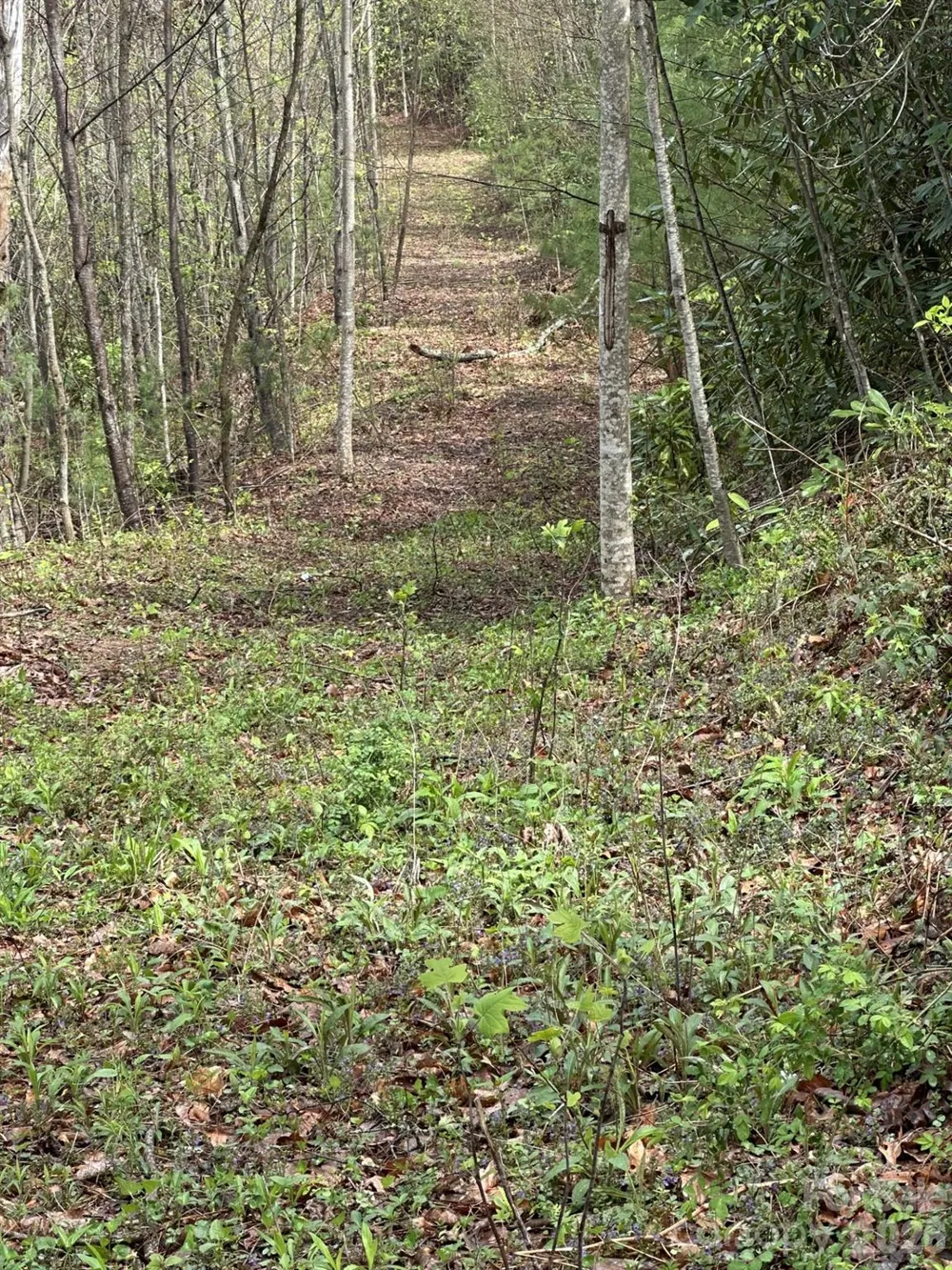 0 Dodgen Ridge Road Tuckasegee, NC 28783