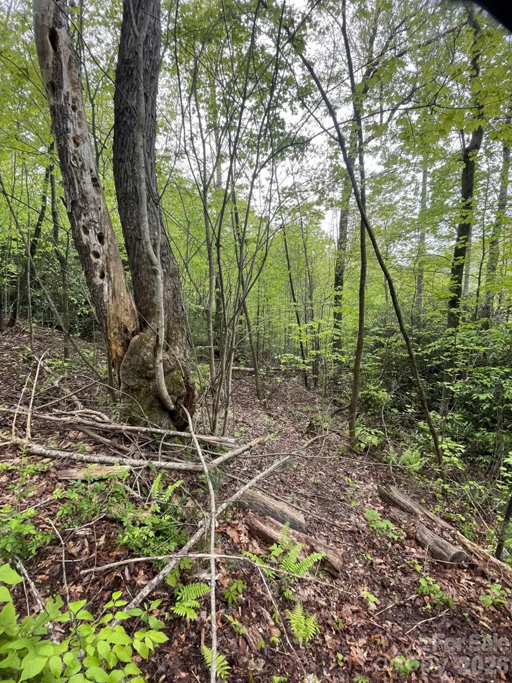 0 Dodgen Ridge Road Tuckasegee, NC 28783