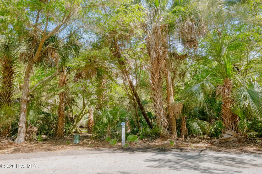 4 Gray Fox Court Bald Head Island, NC 28461