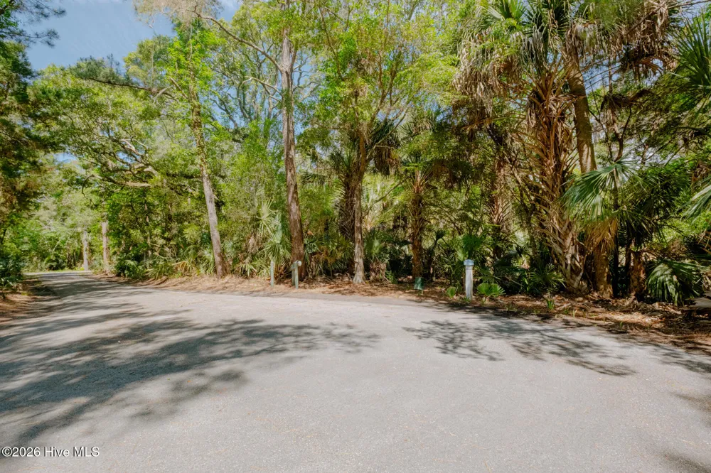 4 Gray Fox Court Bald Head Island, NC 28461