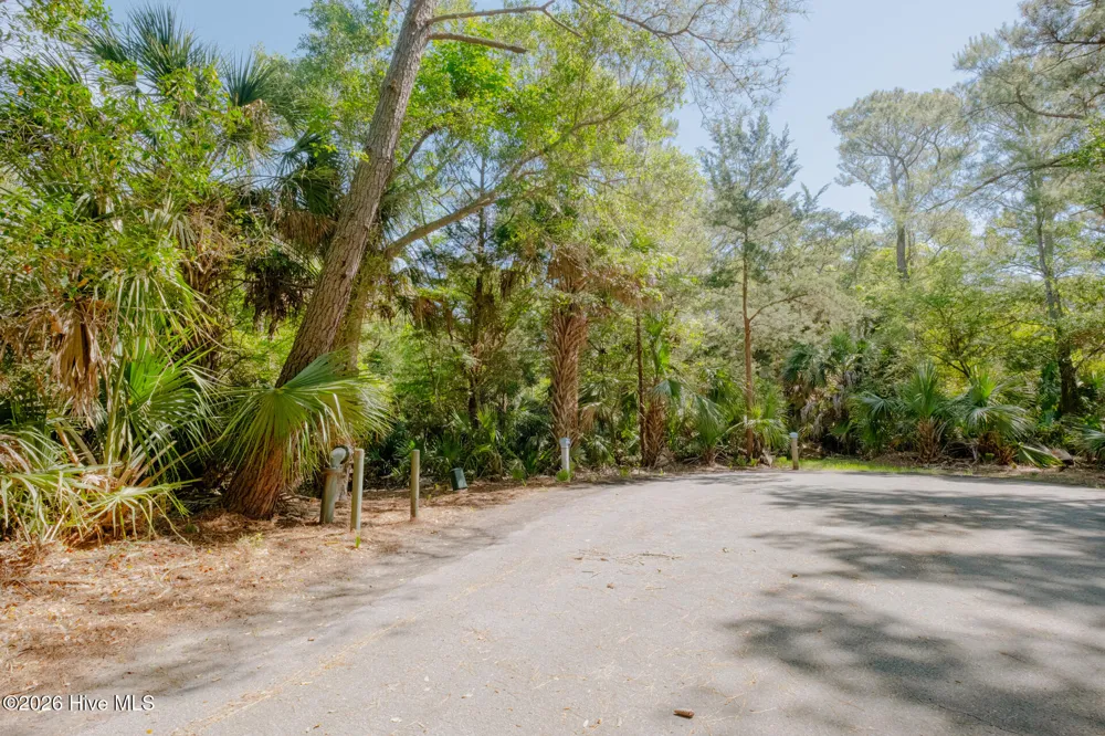 4 Gray Fox Court Bald Head Island, NC 28461