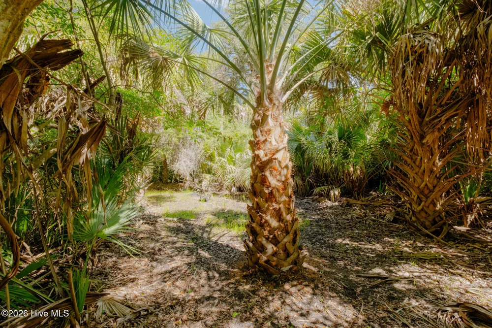 4 Gray Fox Court Bald Head Island, NC 28461