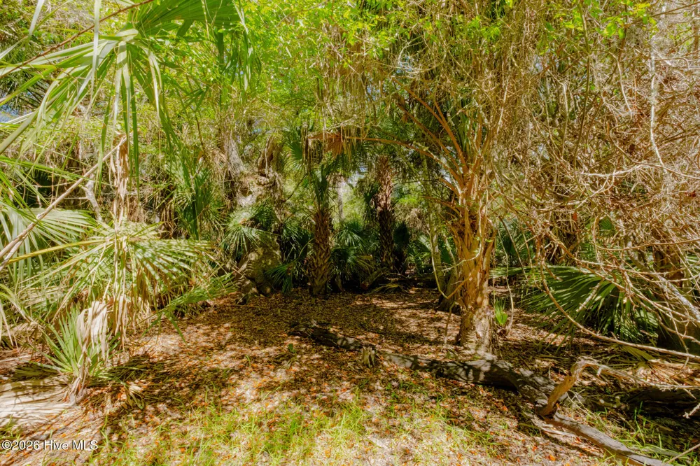 4 Gray Fox Court Bald Head Island, NC 28461