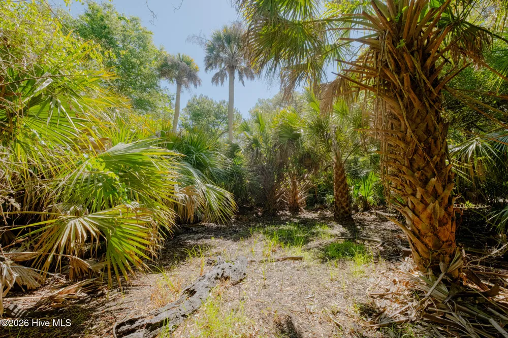 4 Gray Fox Court Bald Head Island, NC 28461