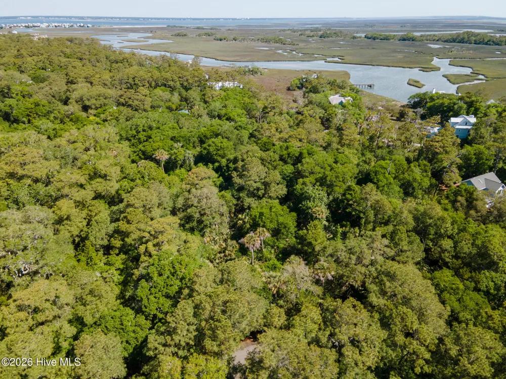 4 Gray Fox Court Bald Head Island, NC 28461