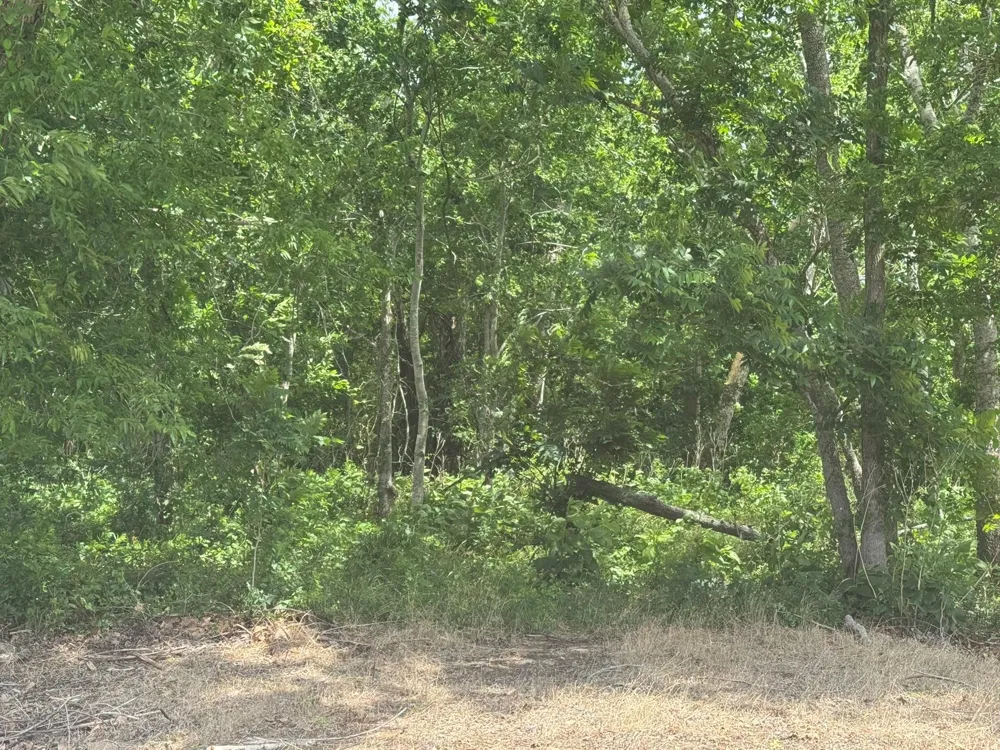214 County Road 230 Wharton, TX 77488