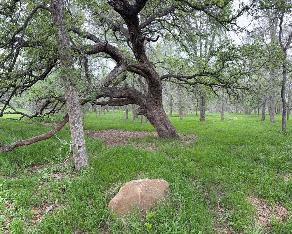 958 Cr 456 Gonzales, TX 78629