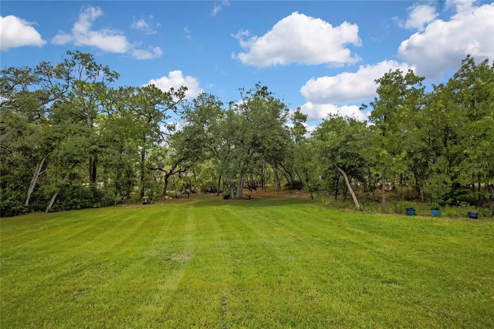 14108 MULKERIN DRIVE Weeki Wachee, FL 34614