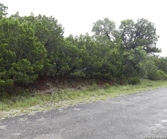 6705 REDWOOD DR Lago Vista, TX 78645