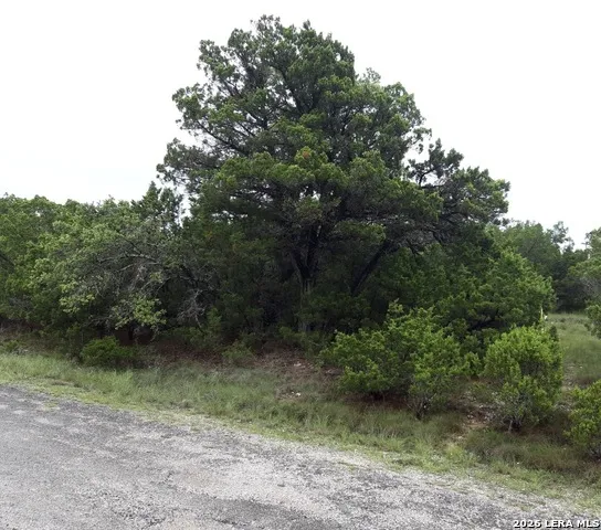 6705 REDWOOD DR Lago Vista, TX 78645