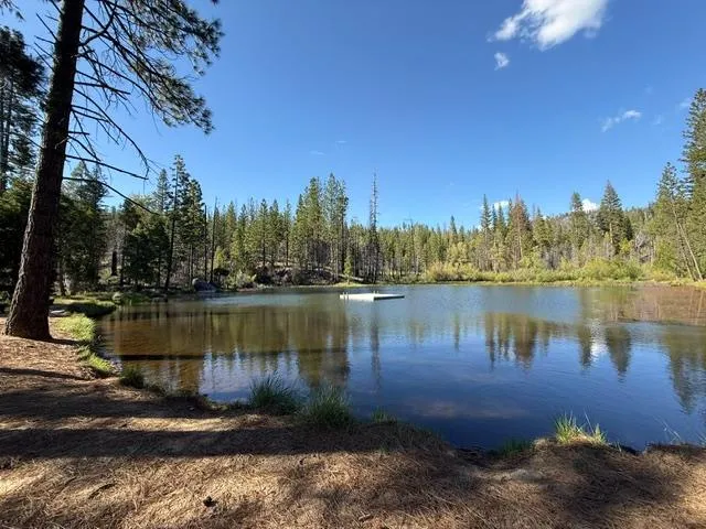 64752 Tamarack Trail North Fork, CA 93643