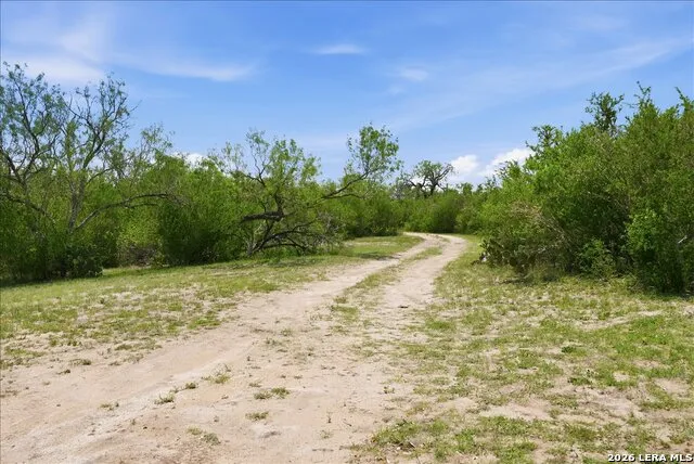 731 COUNTY ROAD 325 George West, TX 78022