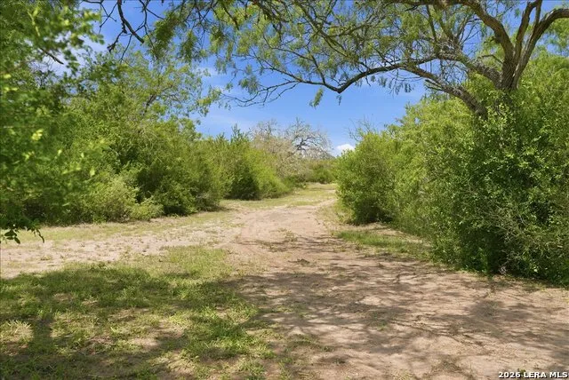 731 COUNTY ROAD 325 George West, TX 78022