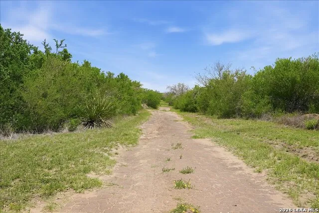 731 COUNTY ROAD 325 George West, TX 78022