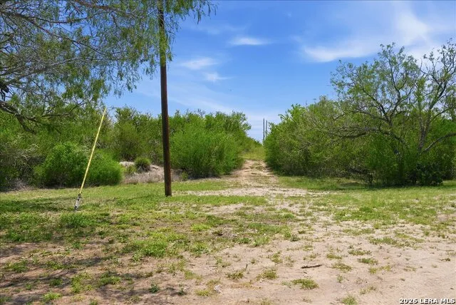 731 COUNTY ROAD 325 George West, TX 78022