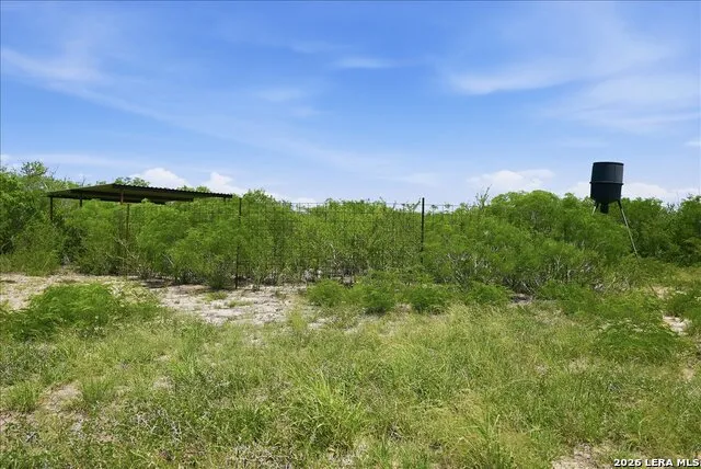731 COUNTY ROAD 325 George West, TX 78022