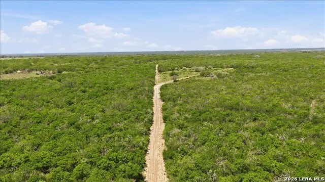 731 COUNTY ROAD 325 George West, TX 78022