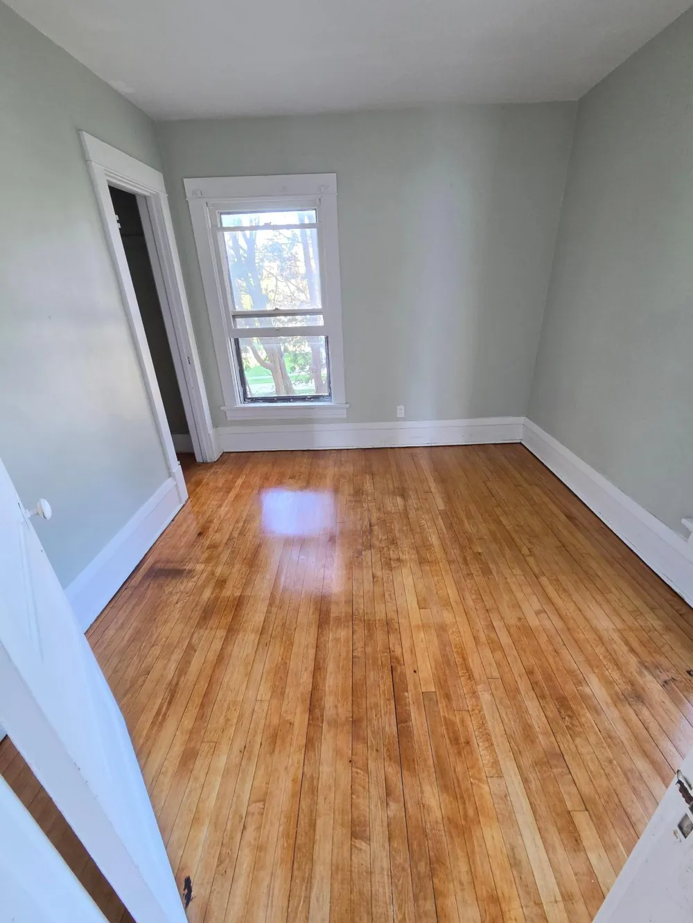 140 W Main Street Lewiston, MN 55952