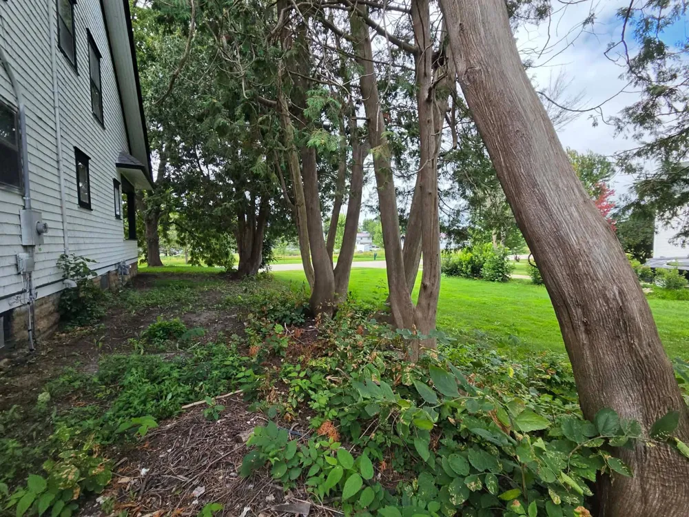 140 W Main Street Lewiston, MN 55952