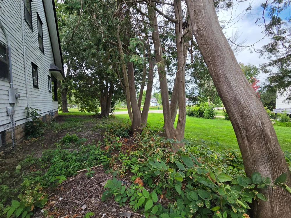 140 W Main Street Lewiston, MN 55952