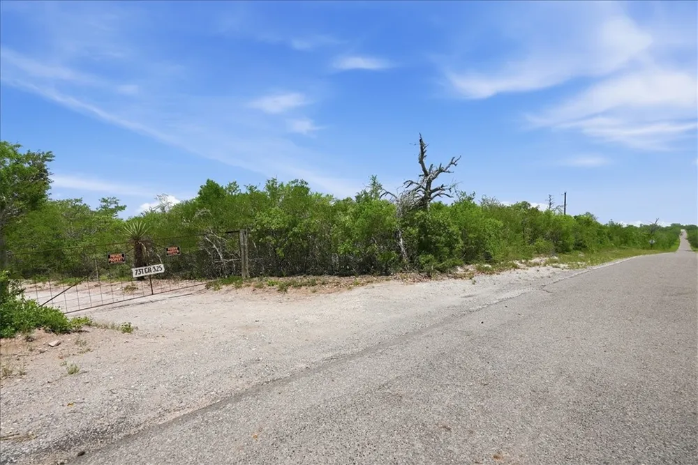 731 County Road 325 George West, TX 78022