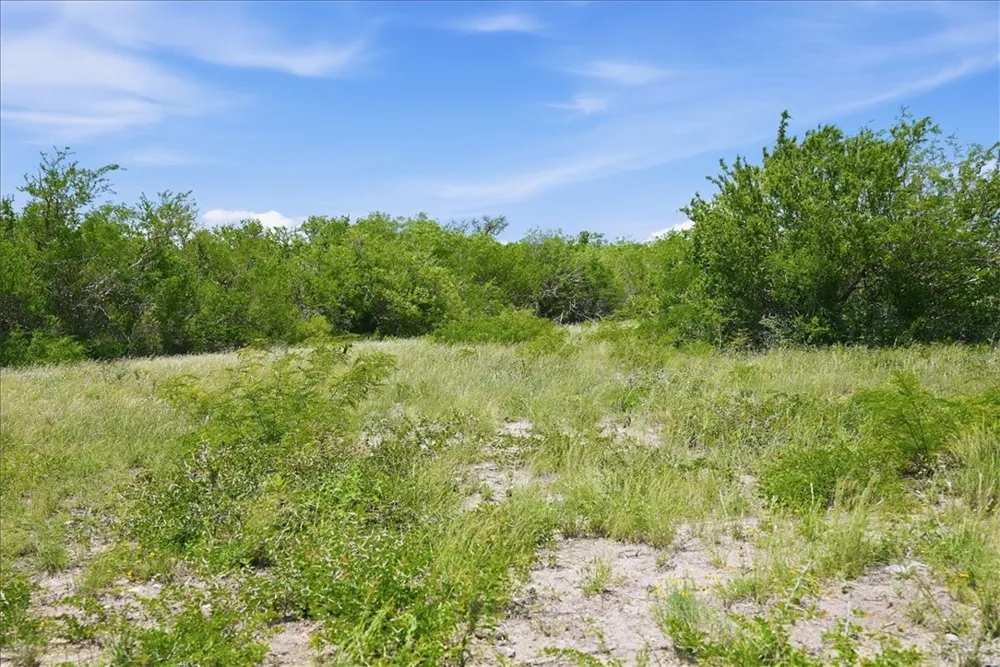 731 County Road 325 George West, TX 78022