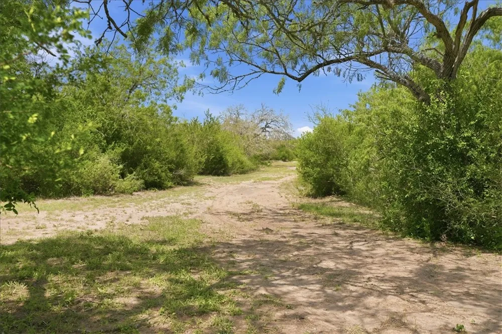 731 County Road 325 George West, TX 78022