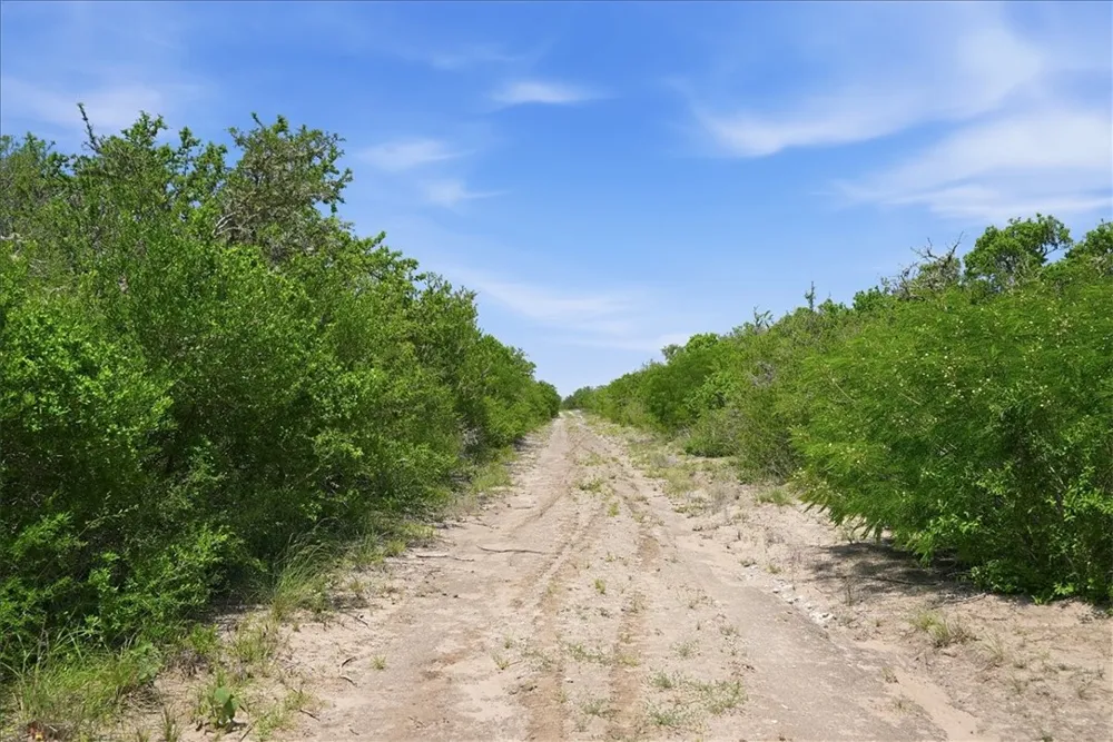 731 County Road 325 George West, TX 78022