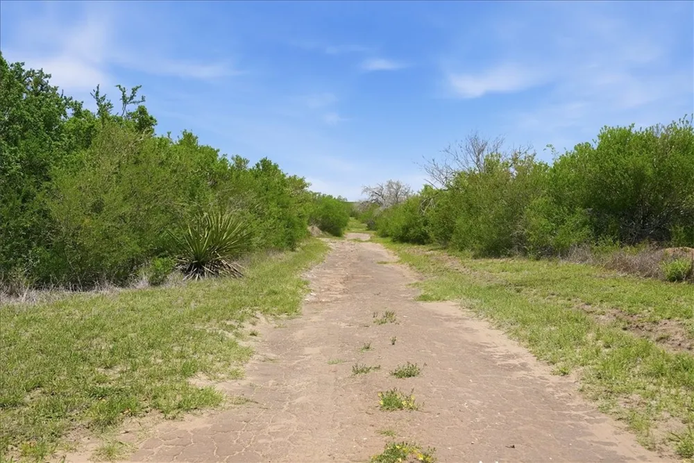 731 County Road 325 George West, TX 78022