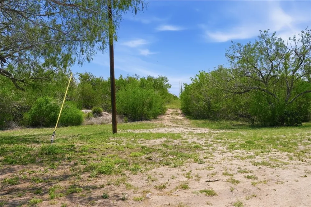 731 County Road 325 George West, TX 78022