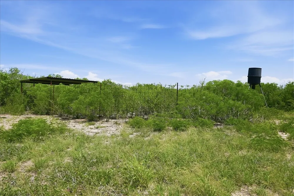 731 County Road 325 George West, TX 78022