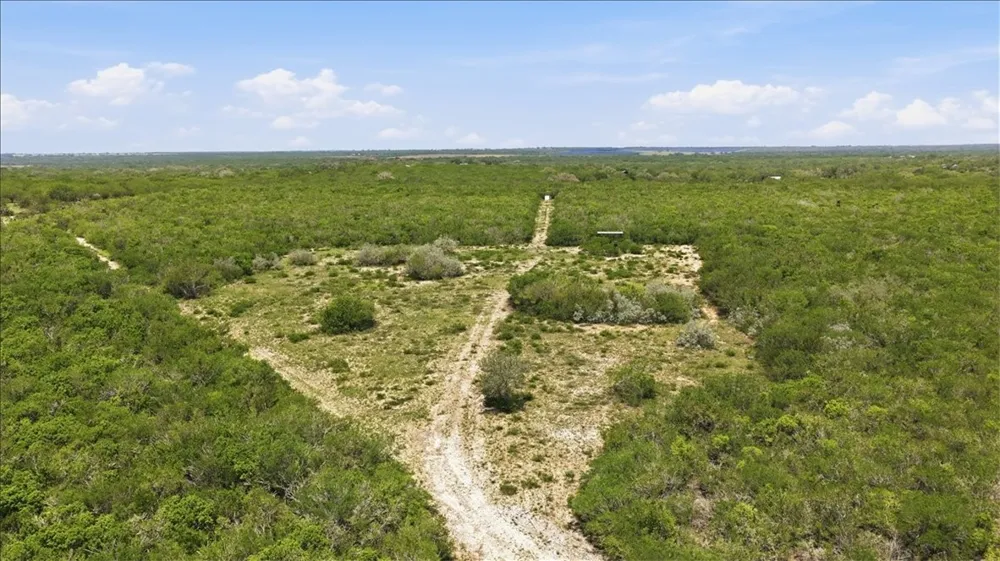 731 County Road 325 George West, TX 78022