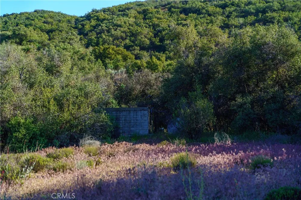 60861 Burnt Valley Road Anza, CA 92539