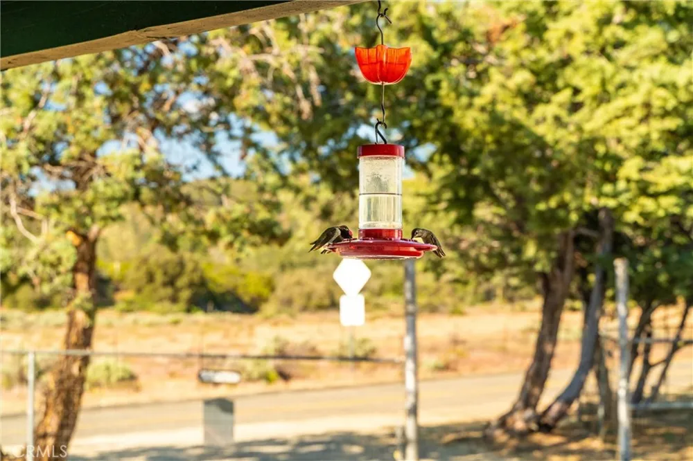 60861 Burnt Valley Road Anza, CA 92539