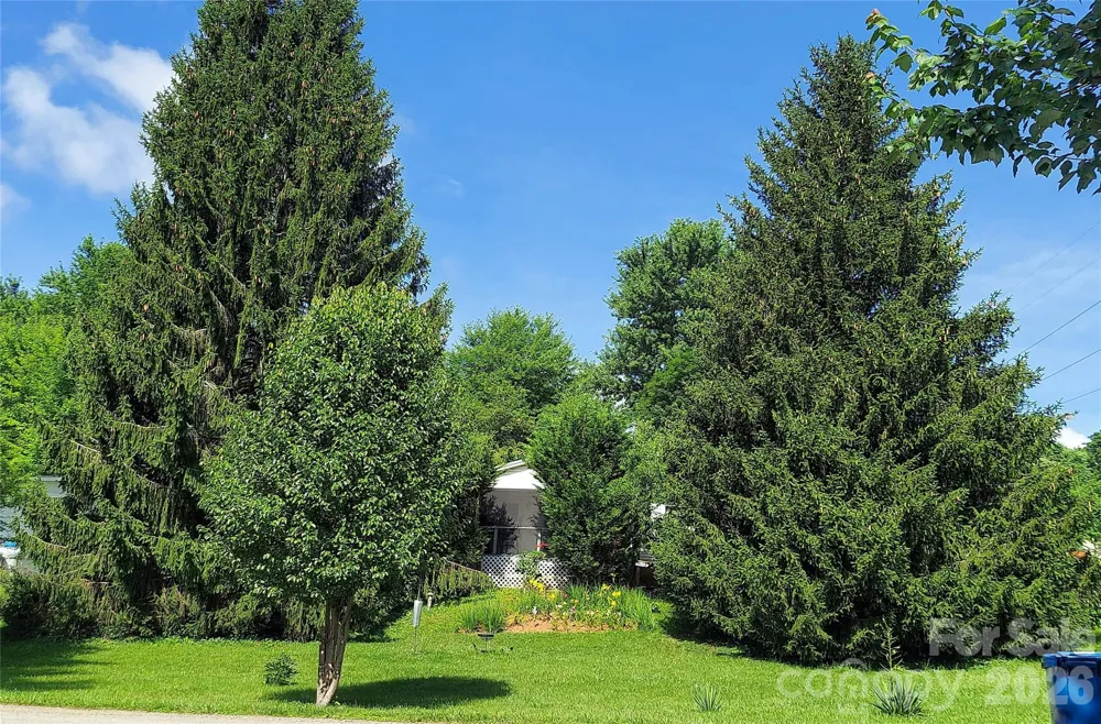 46 Larkspur Lane Canton, NC 28716