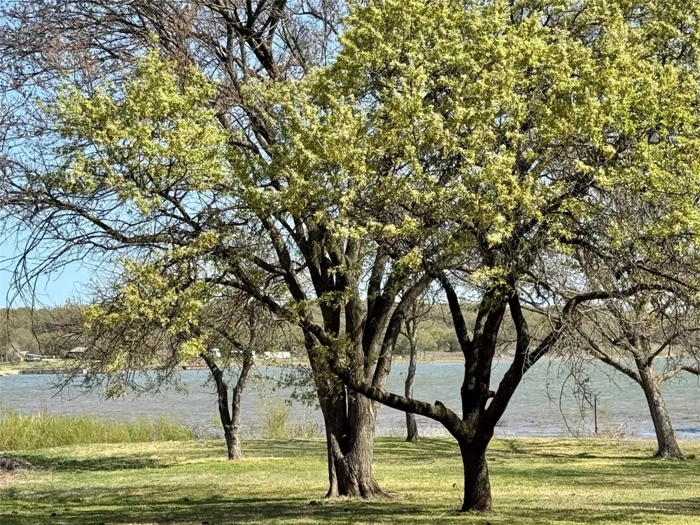 306 Oak Street Nocona, TX 76255