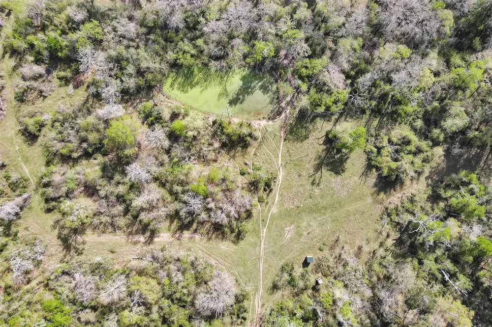 Fm 362 Rear Waller, TX 77484
