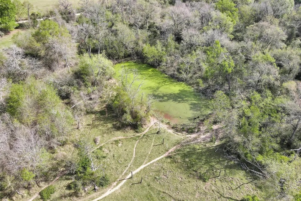 Fm 362 Rear Waller, TX 77484
