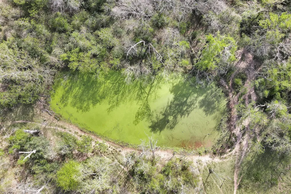 Fm 362 Rear Waller, TX 77484