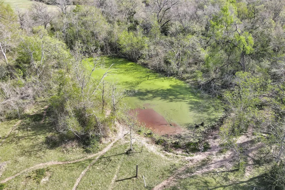Fm 362 Rear Waller, TX 77484