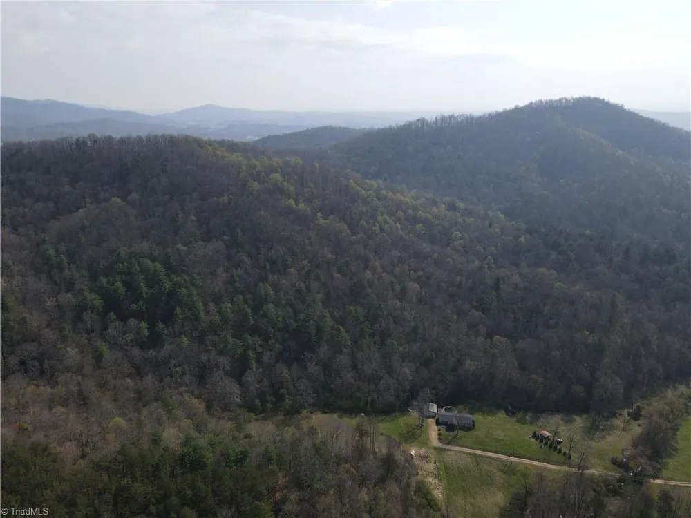 1038 Blackburn Hollow Road Purlear, NC 28665
