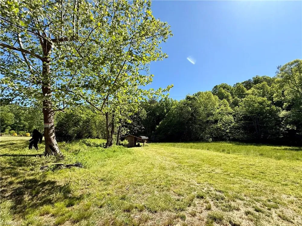 1038 Blackburn Hollow Road Purlear, NC 28665