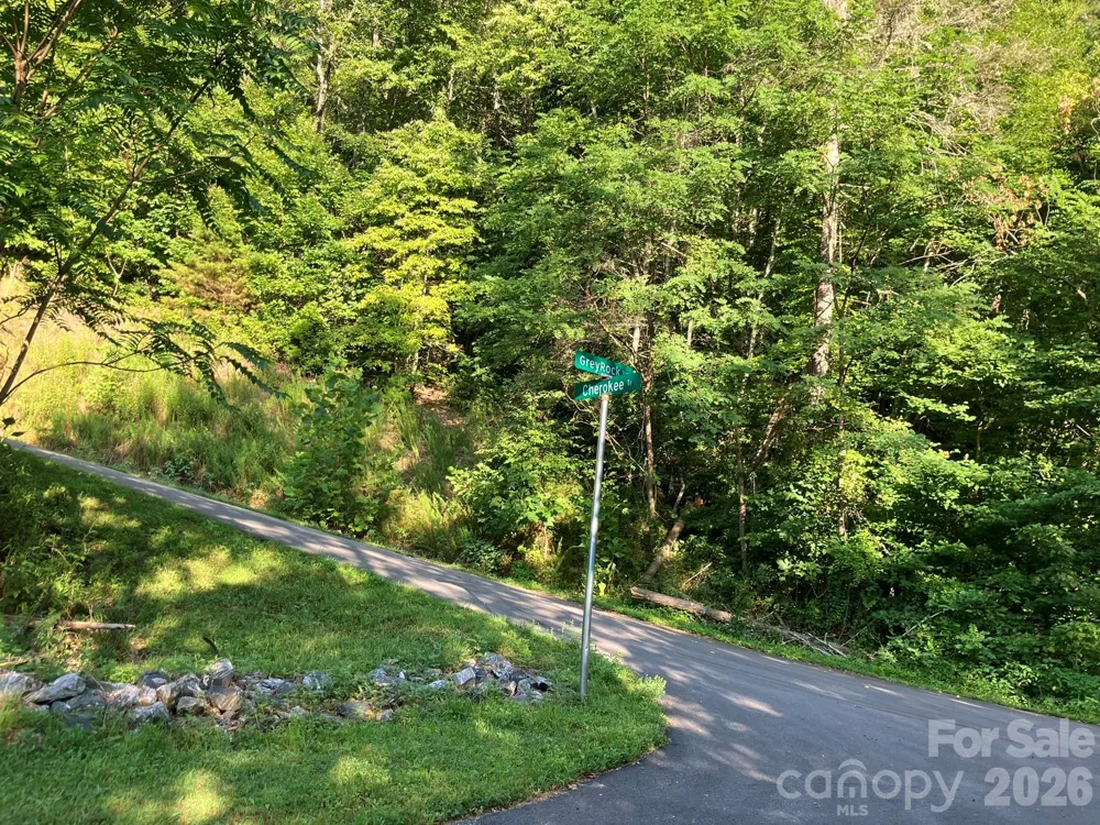 0 Cherokee Trail #6 Lake Lure, NC 28746