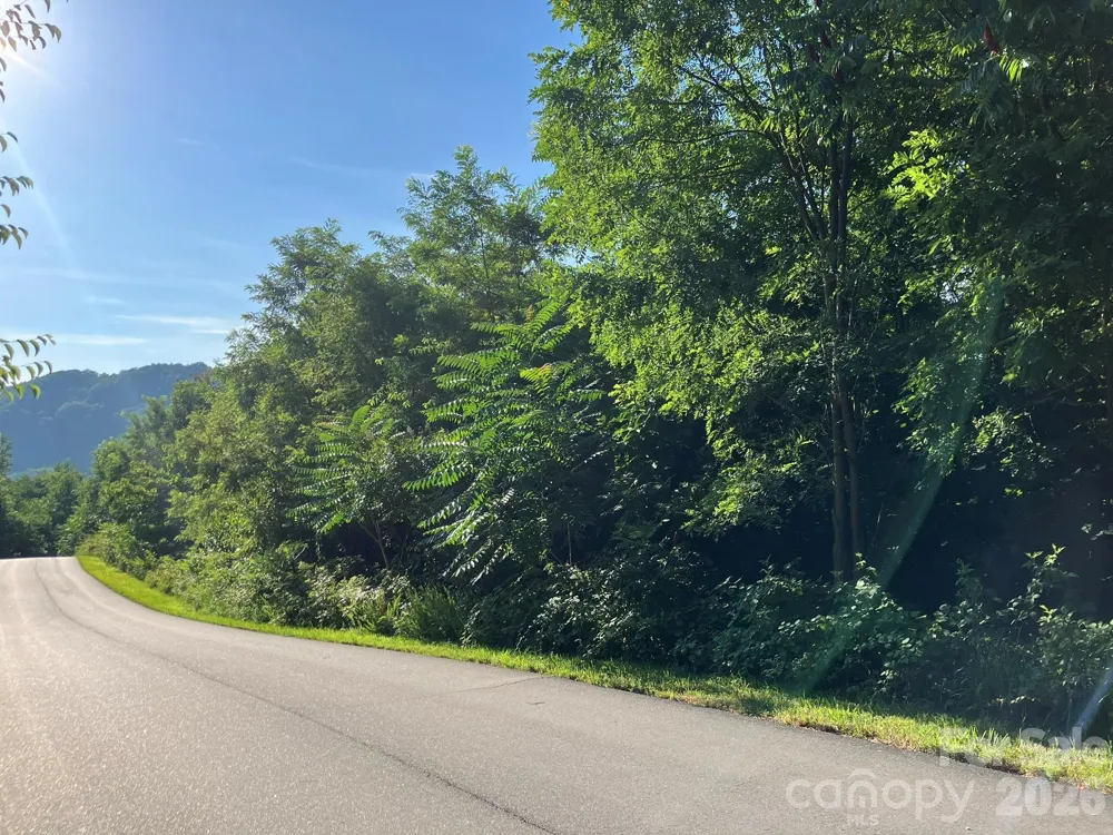0 Cherokee Trail #6 Lake Lure, NC 28746