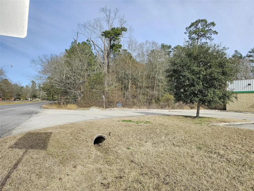 Roman Forest Blvd New Caney, TX 77357